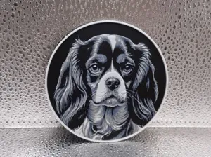 Cavalier King Charles Spaniel Coaster – Hueforge