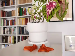 Duck plate for vases