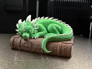 Sleeping Dragon on an Book