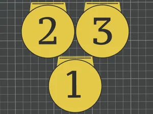 Simple Custom Medal 1-2-3 • Editable Text
