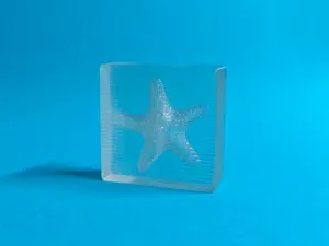 透明水晶 - 海星