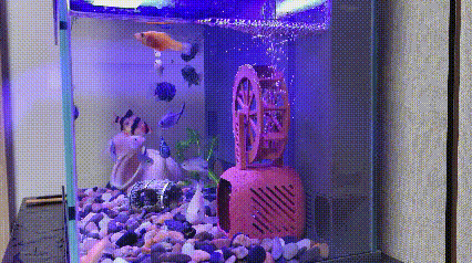 无动力水车,鱼缸躲避屋