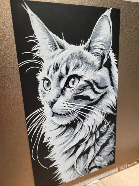 Maine Coon - Cat Hueforge - Black White - 132x235 — Фото 5 из 7
