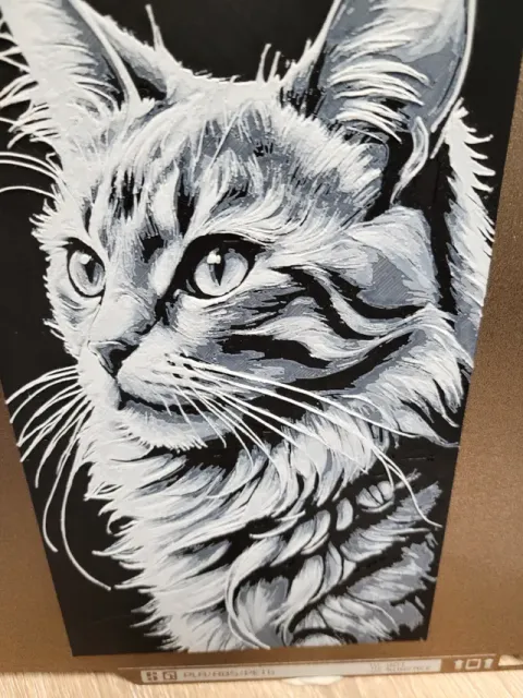 Maine Coon - Cat Hueforge - Black White - 132x235 — Фото 6 из 7