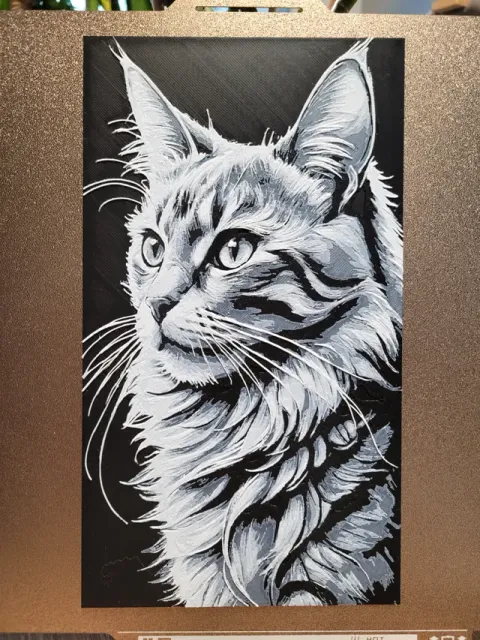 Maine Coon - Cat Hueforge - Black White - 132x235 — Фото 2 из 7