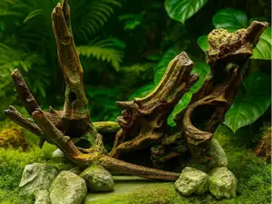 Driftwood Dreams