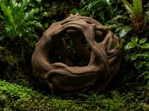 Organic Root Orb Hideout - Terrarium & Aquarium