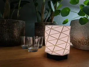 Elegant Lamp