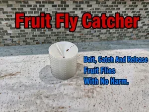 Fruit Fly Tube Trap