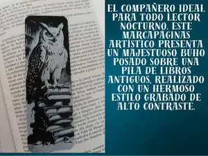 Owl & Books Bookmark