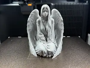 Guardian of Peace