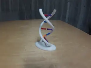 Interactive DNA Model
