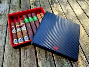 Carbon Minidor - Small Cigar Case