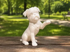 Command: Give me a paw - Petit Brabancon - Puppy