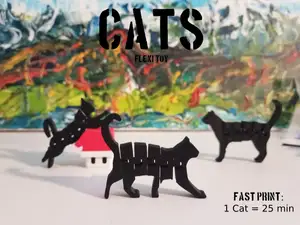 Flexi cats