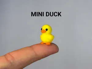 Mini Baby Duck