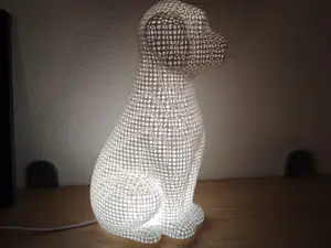 Dog lamp for LED lamp kit