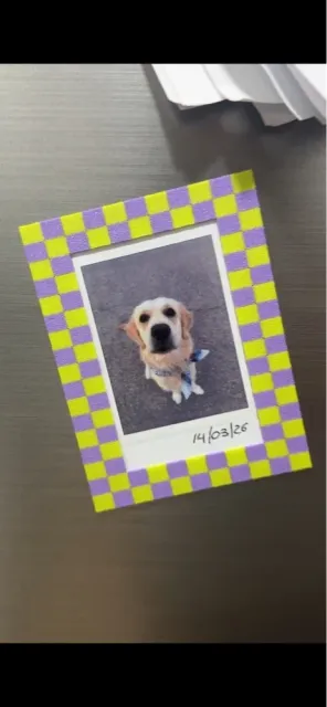 Marco Imán Polaroid (Fridge Photo Frame Magnet) — Image 2 of 2