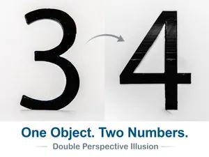 Number 34 Optical Illusion (10-99 available)