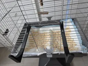Asta Anti-Cacca per Gabbie di Uccelli