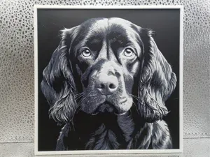 Boykin Spaniel - Hueforge