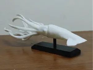 Giant Squid Mount