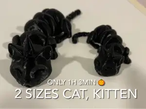 Halloween sleepy cute cat, kitten flexi witch hat