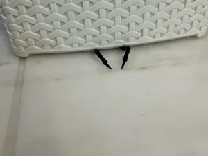 The Insect under the plate