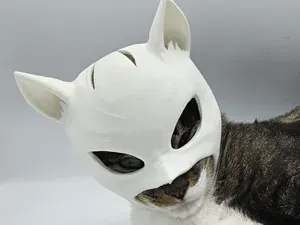 StealthCat Hero Mask for Cats