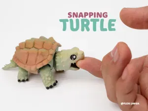 Flexi Alligator Snapping Turtle & Keychain