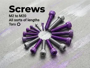 M2 - M20 Torx Screws (all sorts of lengths)