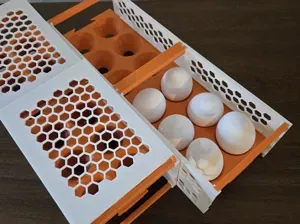 Modular Stacking Egg Holder