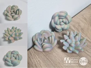 Cute Succulents Pack
