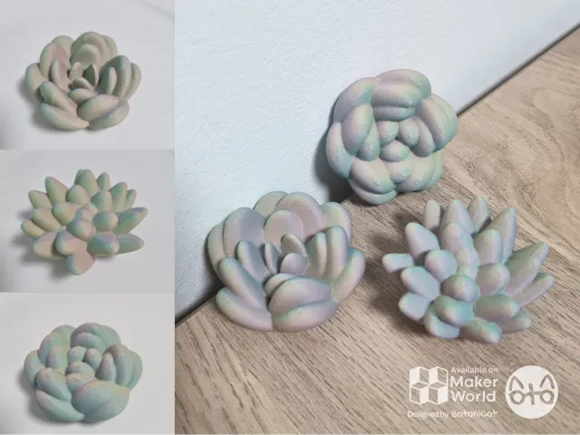 Cute Succulents Pack