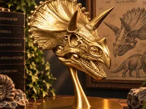 Triceratops - Skull Bust – Three Horned Fossil