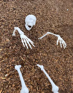 Halloween skeleton