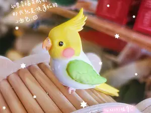 玄凤鹦鹉小鸟