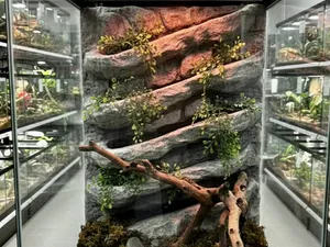 Planter Background (Stone)