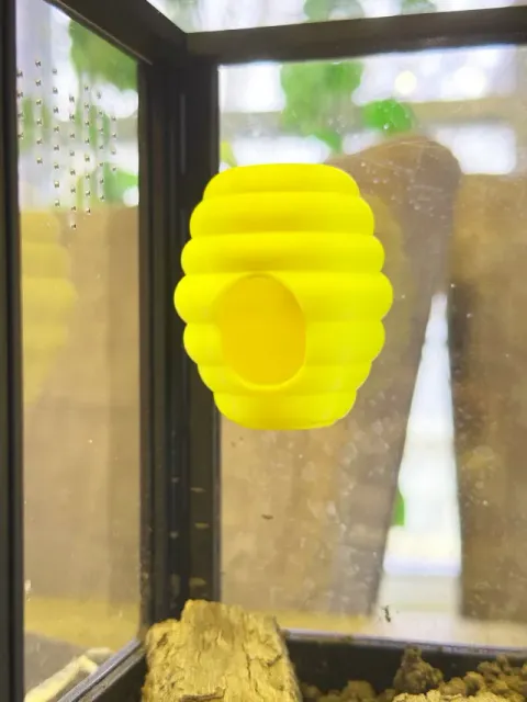 Bee Hive - for Jumping Spider Enclosure — Фото 5 из 5
