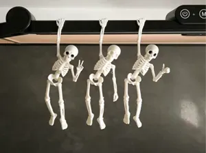 Hanging Skeleton Buddy