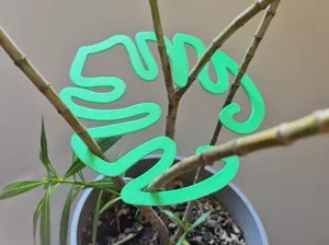 Monstera Leaf Plant Support