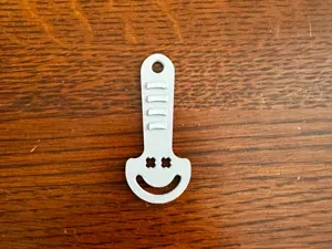 Shopping Cart Coin Key