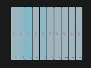 8x10 Test Strips (Pair with Darkroom 8x10 Easel)