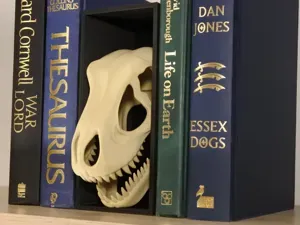 T-Rex Skull Book Nook Insert (Dinosaur Fossil)