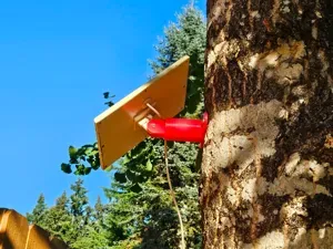 Solar Panel Mount Replacement For Solar/Camera Set