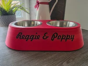 Double dog bowl stand
