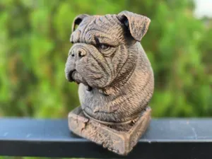 Old English Bulldog Bust – Dog Collector Statue
