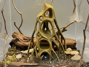 Mangroven Höhlen