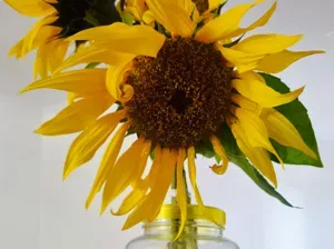 Mason Jar Flower Support Adapter