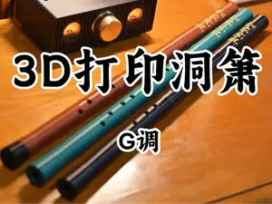 箫 洞箫 G调 8孔(A1mini可打)Chinese traditional flute Xiao